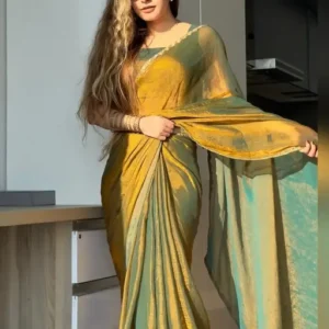 STONED ORGANZA SAREE